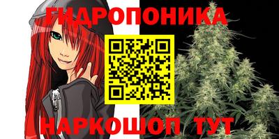 mdma Гай