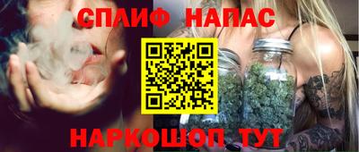 стаф Новозыбков