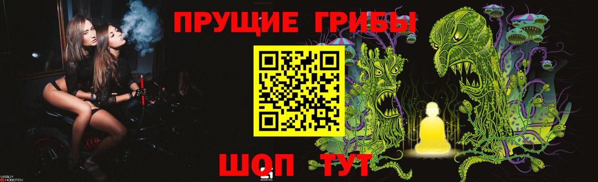 Псилоцибиновые грибы GOLDEN TEACHER Лиски