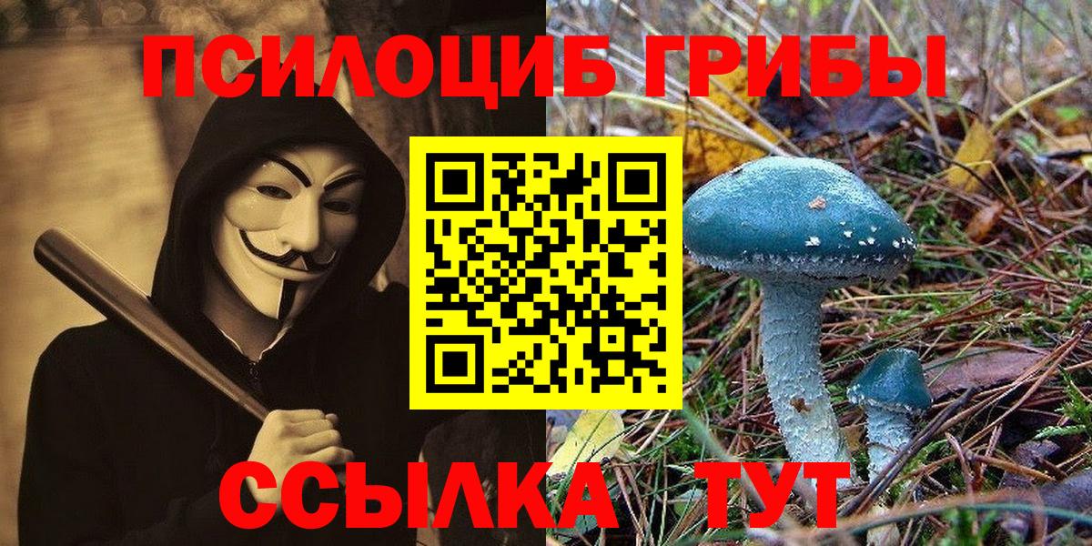 закладки  Галлюциногенные грибы Psilocybine cubensis  Вход с VPN  Псилоцибиновые грибы Magic Shrooms  Лиски 